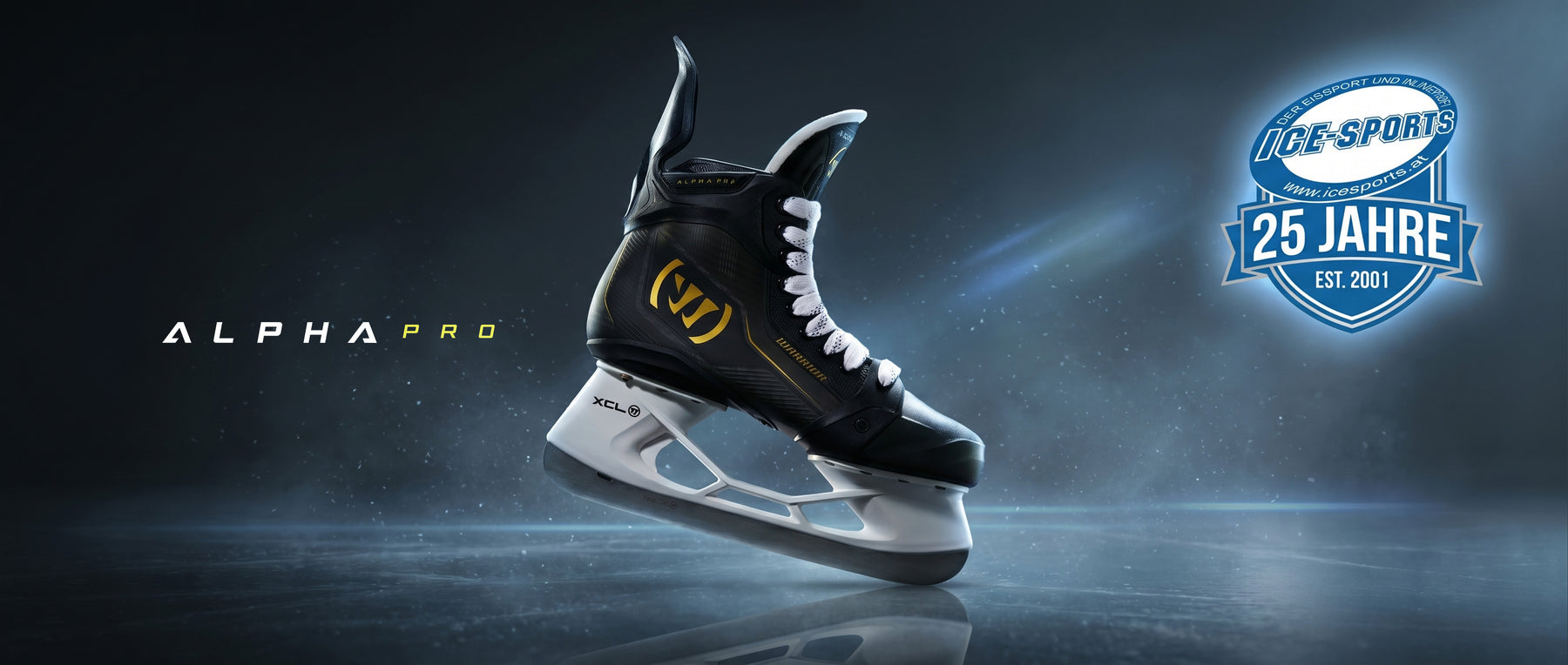 Ice Sports Highlight